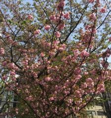 中大江公園