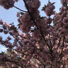 中大江公園