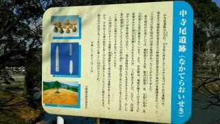 東部中央公園