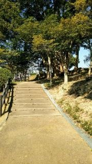 東部中央公園