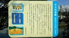 東部中央公園
