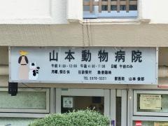 山本動物病院