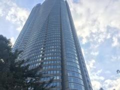 グリー株式会社