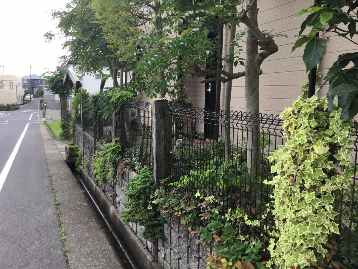 すこやか施術院