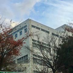 武蔵丘短期大学