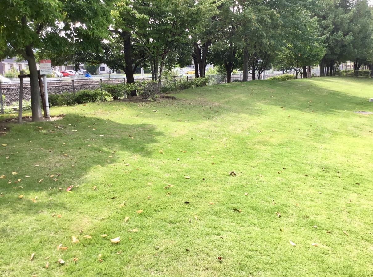 芳川公園