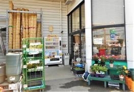 コメリハード＆グリーン　碧南店