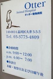 Ｏｔｔｅｒ動物病院