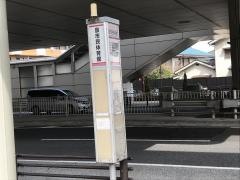 「泉市民体育館」バス停留所