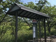 「けやき通り東」バス停留所