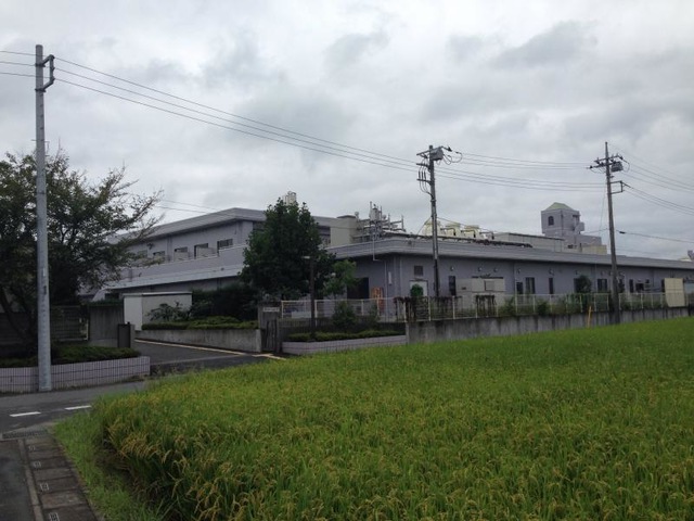 グリーンピア