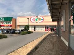 ザ・ダイソー　インターパーク宇都宮店