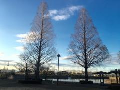 小松東公園