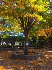 明花公園