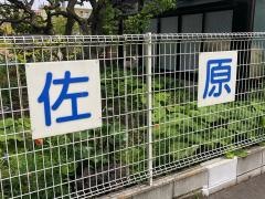 佐原みどり幼稚園