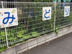 佐原みどり幼稚園