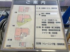 平和台体育館温水プール