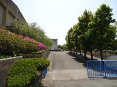 旭東小学校