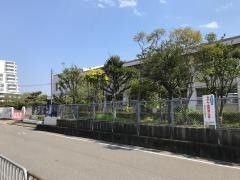播陽幼稚園