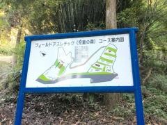 児童の森
