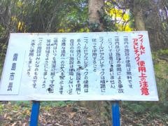 児童の森