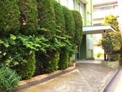 町田産婦人科