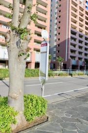 「八千代緑が丘駅」バス停留所