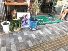 高山ペットショップ　館町本店