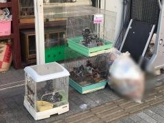 高山ペットショップ　館町本店
