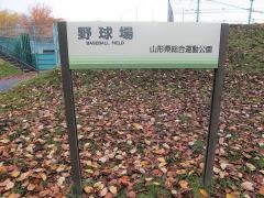 山形県総合運動公園野球場