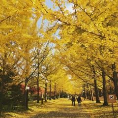 山形県総合運動公園野球場