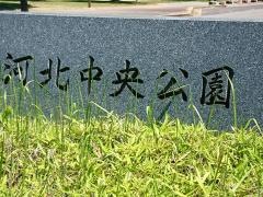 河北中央公園