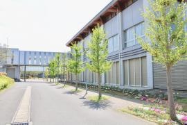 いには野小学校