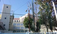 関口台町小学校