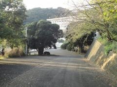 旭小学校