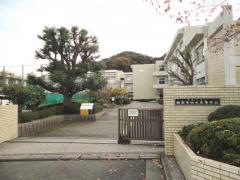 神奈川県立横須賀南高等学校