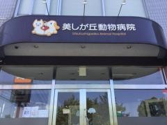 美しが丘動物病院
