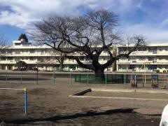 上溝小学校