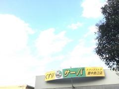 ドラッグストアサーバ豊中島江店