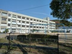 八木小学校