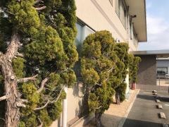 瀬戸税務署