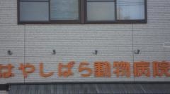 はやしばら動物病院