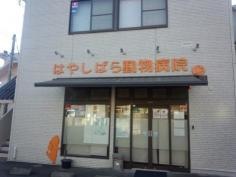 はやしばら動物病院
