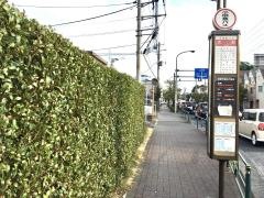 「大沢」バス停留所