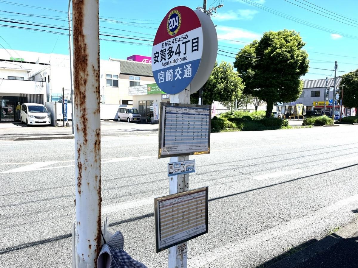 全景です。
