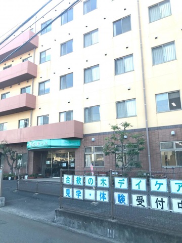 合歓の木