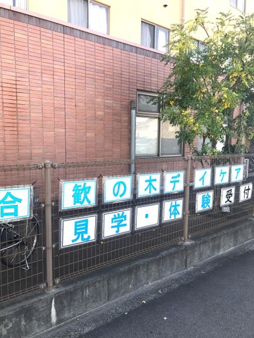 合歓の木