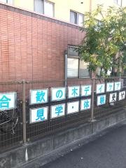 合歓の木