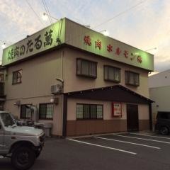 たる万