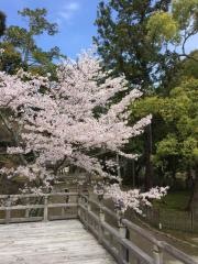 大沢池